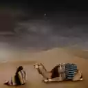 Rest in the desert  screen for extension Chrome web store in OffiDocs Chromium