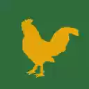 Resultado Jogo do Bicho  screen for extension Chrome web store in OffiDocs Chromium