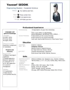 Gratis download CV, Curriculum Vitae - CV DOC-, XLS- of PPT-sjabloon gratis te bewerken met LibreOffice online of OpenOffice Desktop online