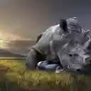 Rhino and pain  screen for extension Chrome web store in OffiDocs Chromium