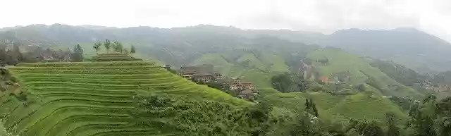Tải xuống miễn phí Phong cảnh Gạo Trung Quốc - ảnh hoặc ảnh miễn phí được chỉnh sửa bằng trình chỉnh sửa ảnh trực tuyến GIMP