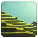 Rice Paddy  screen for extension Chrome web store in OffiDocs Chromium