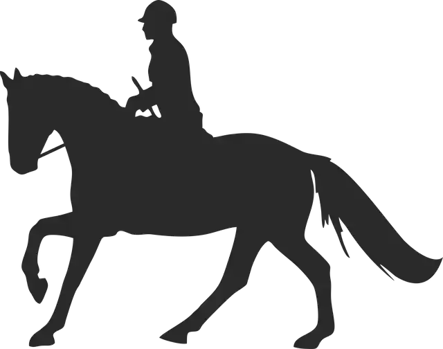 Descarga gratuita Ride Dressage Equestrian Gráfico vectorial gratuito en Pixabay ilustración gratuita que se editará con el editor de imágenes en línea GIMP