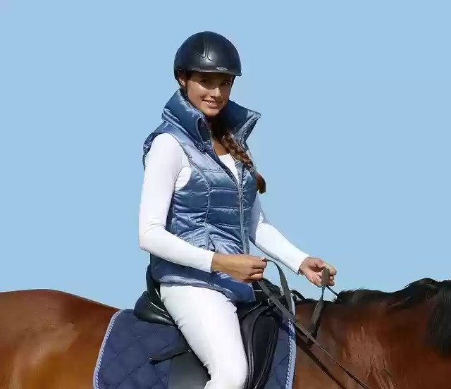 Free download Riding Vest Horse Ride -  free photo or picture to be edited with GIMP online image editor