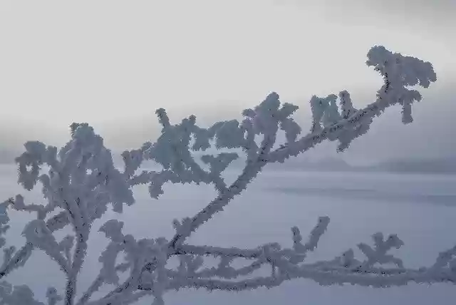 Free download Rime Glow Winter -  free photo or picture to be edited with GIMP online image editor