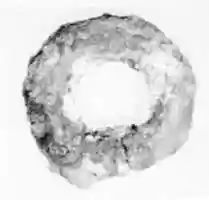 Free download Ring from buckle free photo or picture to be edited with GIMP online image editor