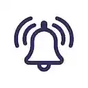 RingVPN  screen for extension Chrome web store in OffiDocs Chromium