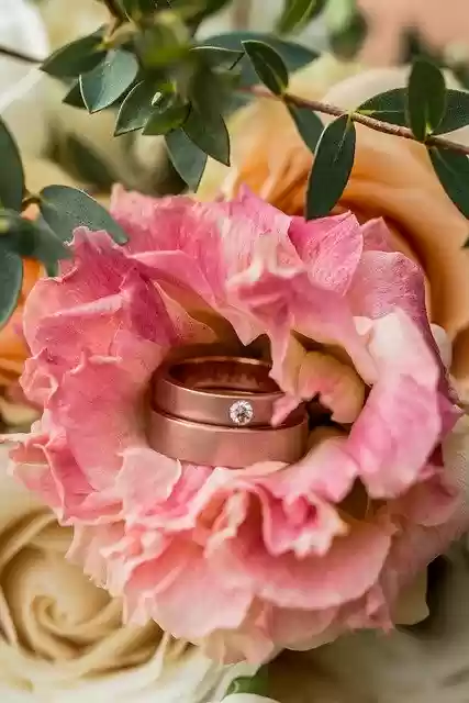 Free download Ring Wedding Jewelry -  free photo or picture to be edited with GIMP online image editor