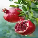 Ripe pomegranate branch wallpaper  screen for extension Chrome web store in OffiDocs Chromium