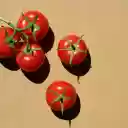 Ripe Tomato Cluster  screen for extension Chrome web store in OffiDocs Chromium