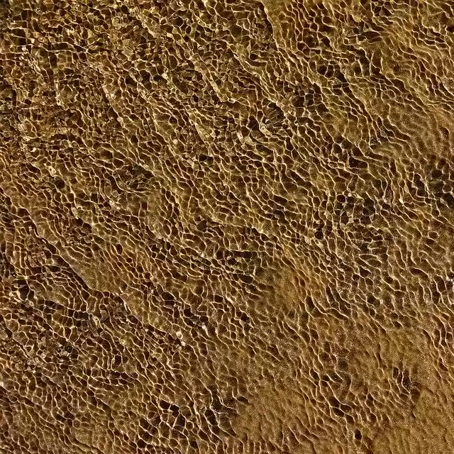 Free download Ripple Water Texture -  free photo or picture to be edited with GIMP online image editor