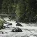 River in the Middle of Forest  screen for extension Chrome web store in OffiDocs Chromium