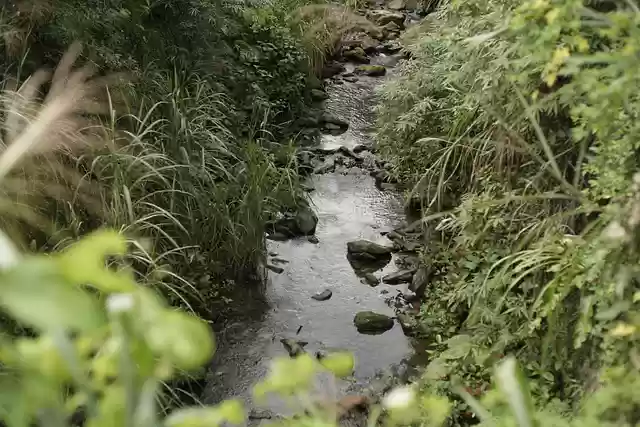 Free download river running water mountain spring free picture to be edited with GIMP free online image editor