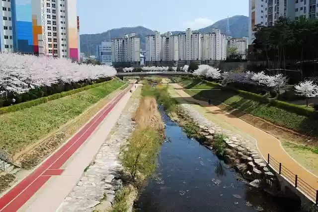Free download Rivers Keep Your City Busan -  free photo or picture to be edited with GIMP online image editor