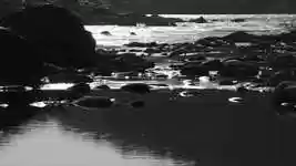 Free download River Stream Water -  free photo or picture to be edited with GIMP online image editor