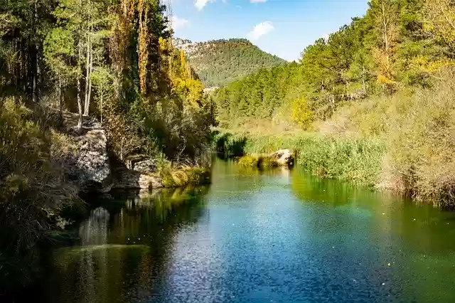 Free download River Trees Landscape -  free photo or picture to be edited with GIMP online image editor