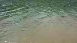 Free download River Water Flow -  free video to be edited with OpenShot online video editor