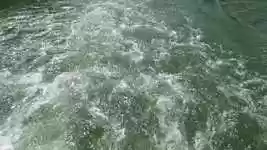 Free download River Water Whirlpool -  free video to be edited with OpenShot online video editor