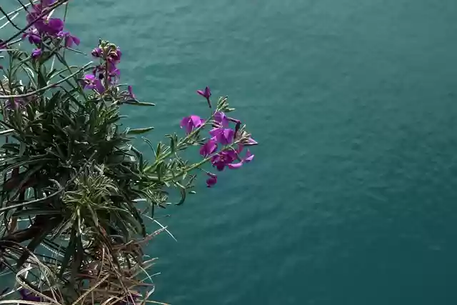 Free download riviera monaco po summer luxury free picture to be edited with GIMP free online image editor