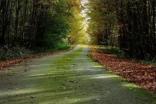 تحميل مجاني Road Fall Landscape - صورة مجانية أو صورة مجانية ليتم تحريرها باستخدام محرر الصور عبر الإنترنت GIMP