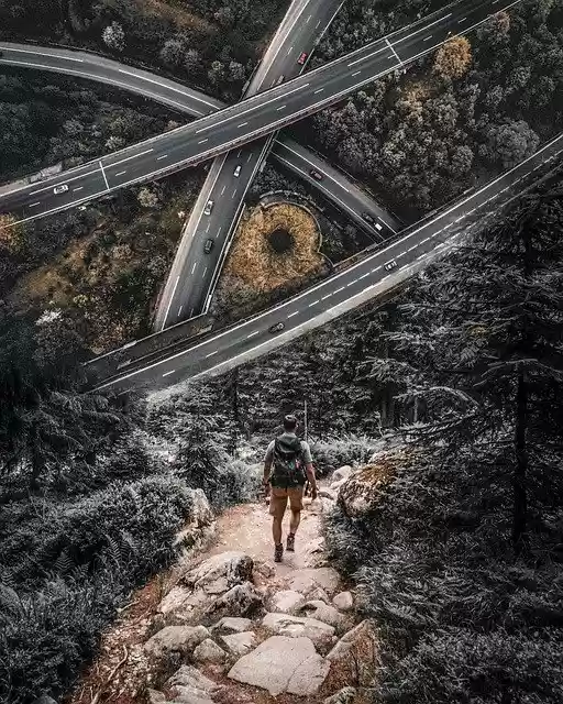 Free download Road Forest Man -  free photo or picture to be edited with GIMP online image editor