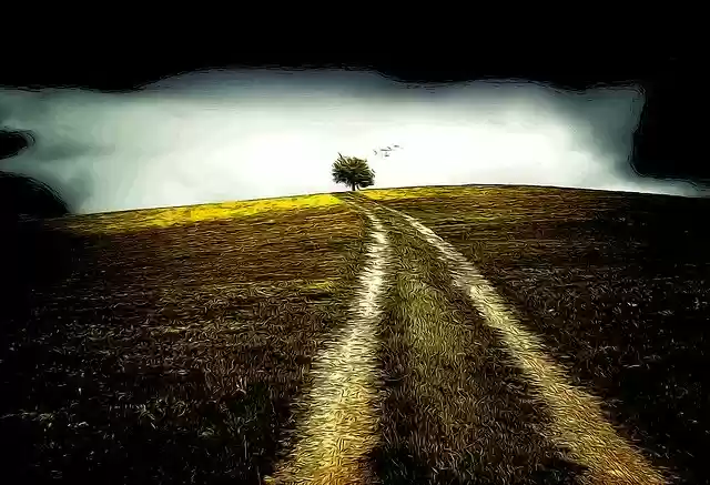 Free download Road Grass Wild -  free illustration to be edited with GIMP free online image editor