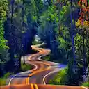 Road in Forest Theme  screen for extension Chrome web store in OffiDocs Chromium