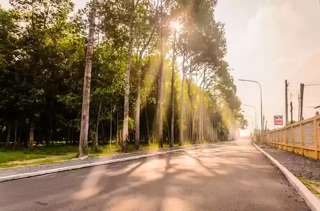 Free download road light dawn blue landscape free picture to be edited with GIMP free online image editor