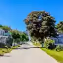 Road silhouetted by trees  screen for extension Chrome web store in OffiDocs Chromium