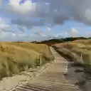 Road through the fields  screen for extension Chrome web store in OffiDocs Chromium