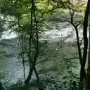 Robert H. Treman State Park  screen for extension Chrome web store in OffiDocs Chromium