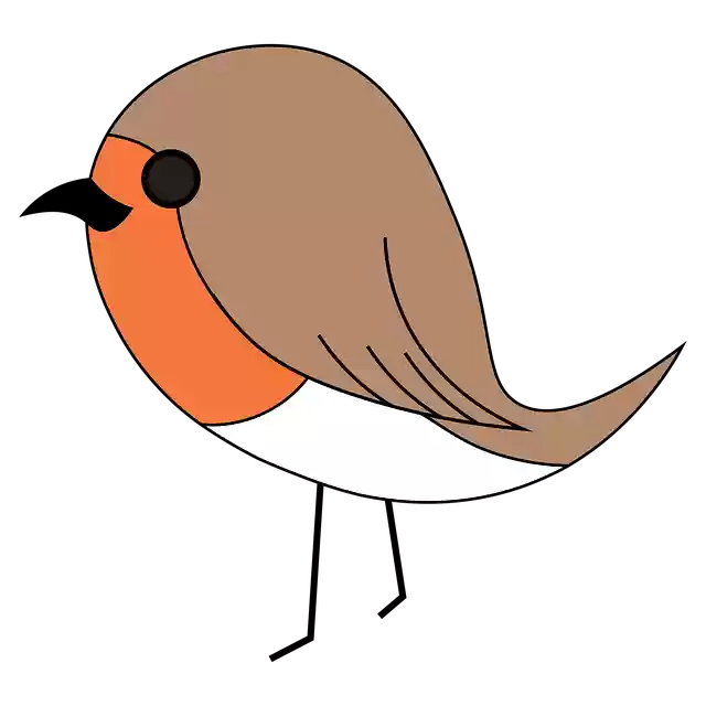 Free download Robin Bird Vector -  free illustration to be edited with GIMP free online image editor