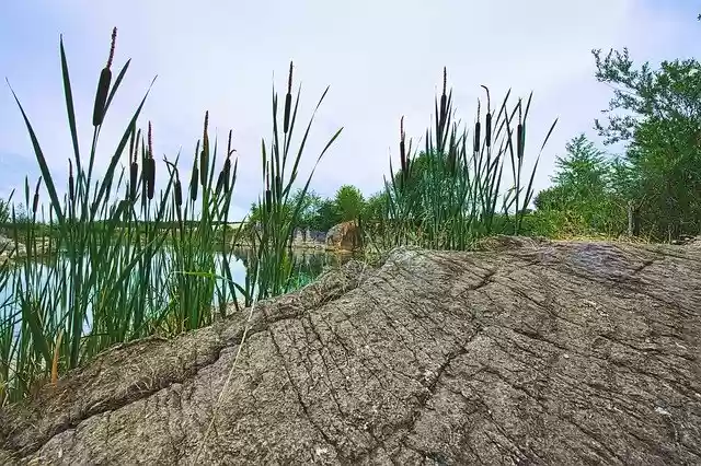 Free download Rock Lake Reed -  free photo or picture to be edited with GIMP online image editor