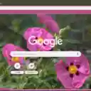Rock Rose  screen for extension Chrome web store in OffiDocs Chromium