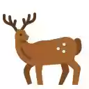 Rocky Mountain Elk Gathering  screen for extension Chrome web store in OffiDocs Chromium