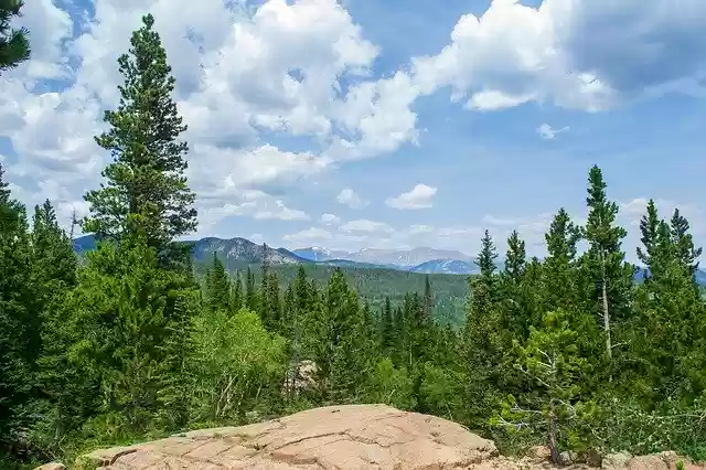 Free download Rocky Mountains Forest Landscape -  free photo or picture to be edited with GIMP online image editor