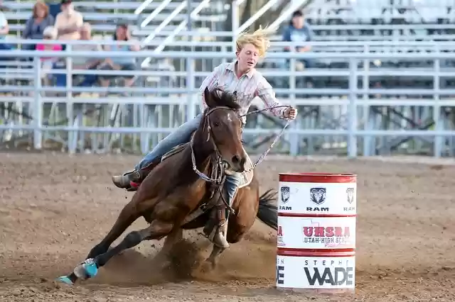 Free download rodeo horse barrel western animal free picture to be edited with GIMP free online image editor