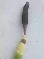 Free download Rodul pamantului free photo or picture to be edited with GIMP online image editor