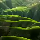 Rolling Green Hills  screen for extension Chrome web store in OffiDocs Chromium