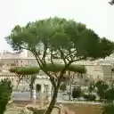 Roman Forum in Rome  screen for extension Chrome web store in OffiDocs Chromium