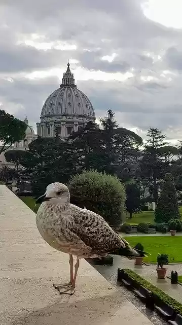 Free download Rome Italy Seagull -  free photo or picture to be edited with GIMP online image editor