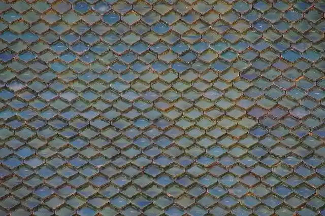 Free download Roof Tenerife Loropark -  free photo or picture to be edited with GIMP online image editor