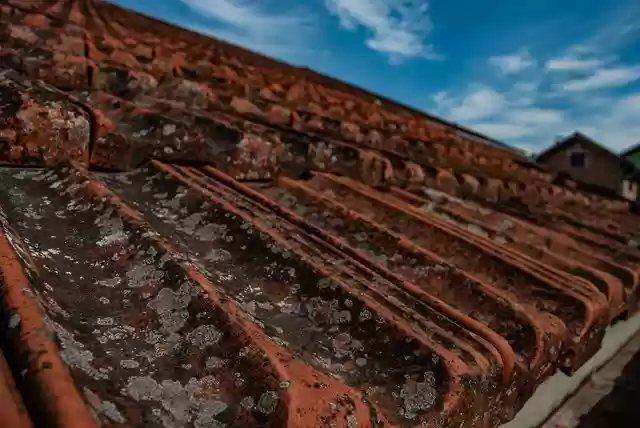 Free download roof tiles roof housetop brick free picture to be edited with GIMP free online image editor