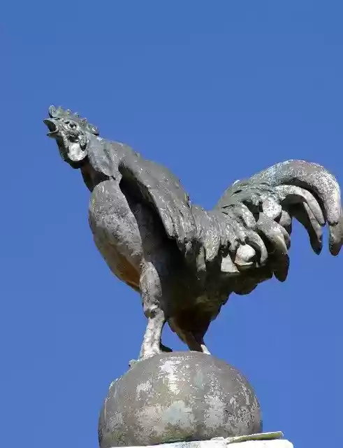 Free download Rooster Statue Sculpture -  free photo or picture to be edited with GIMP online image editor