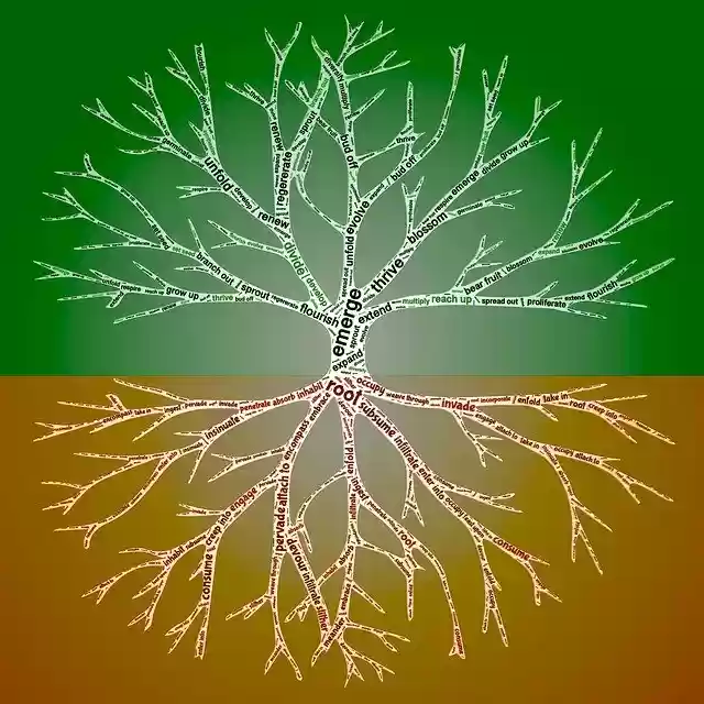 Free download Rooting Reaching Branching -  free illustration to be edited with GIMP free online image editor