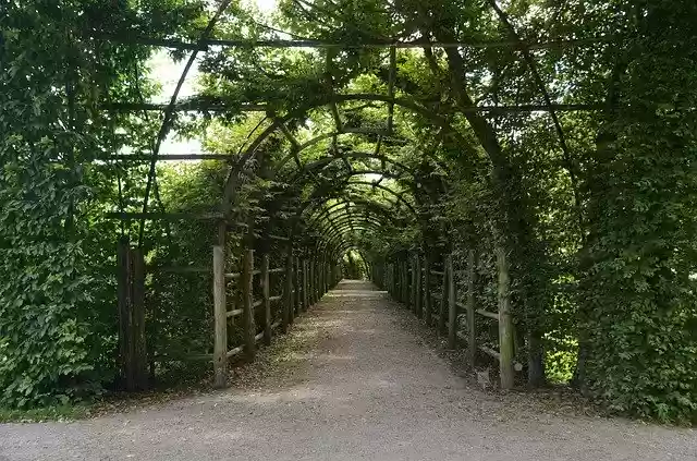 Free download Rose Arches Hedge Green -  free photo or picture to be edited with GIMP online image editor