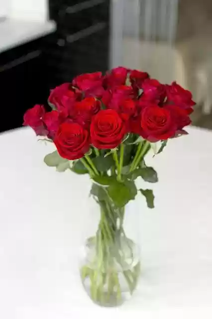 Free download Rose Bouquet Vase The On -  free photo or picture to be edited with GIMP online image editor