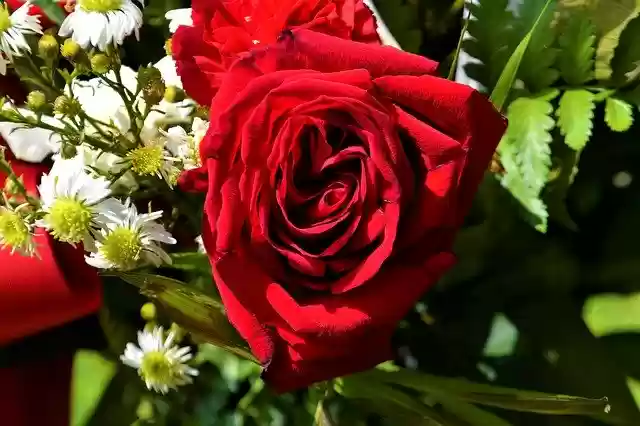 Free download Rose Bouquet Wedding -  free free photo or picture to be edited with GIMP online image editor