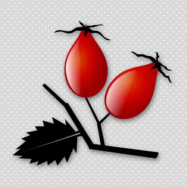 Free download Rose Hip Fruit -  free illustration to be edited with GIMP free online image editor