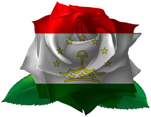 Ảnh mẫu Rose Iran Tajikistan cho OffiDocs